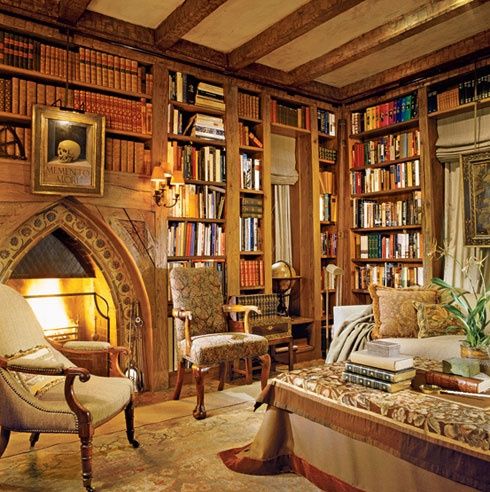 790003c56716d06d9a740fda021702e4--cozy-library-dream-library.jpg