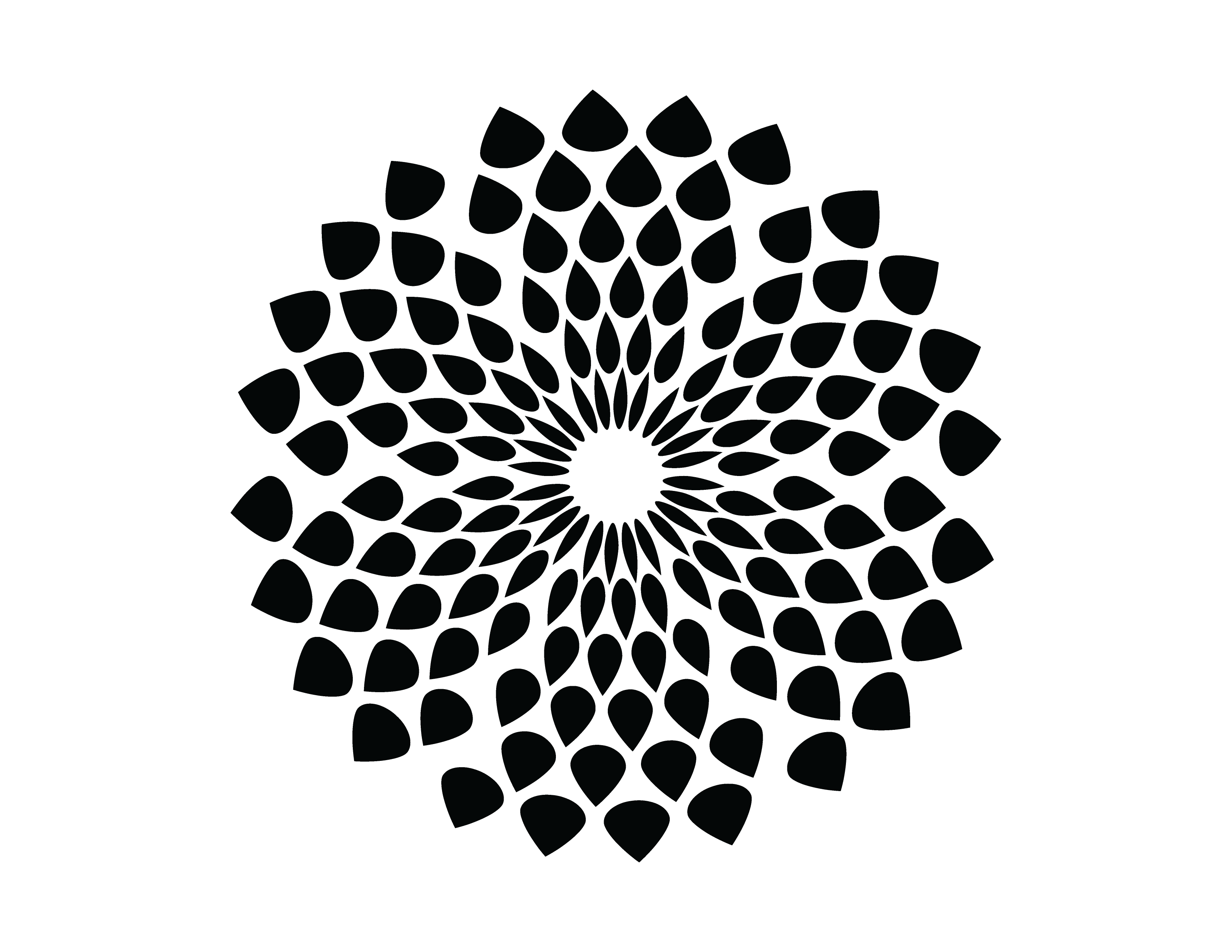 MANDALAS-02.png