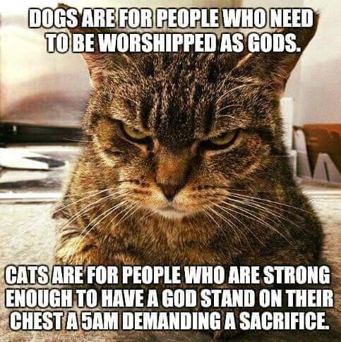 FB_IMG_1503275489703.jpg