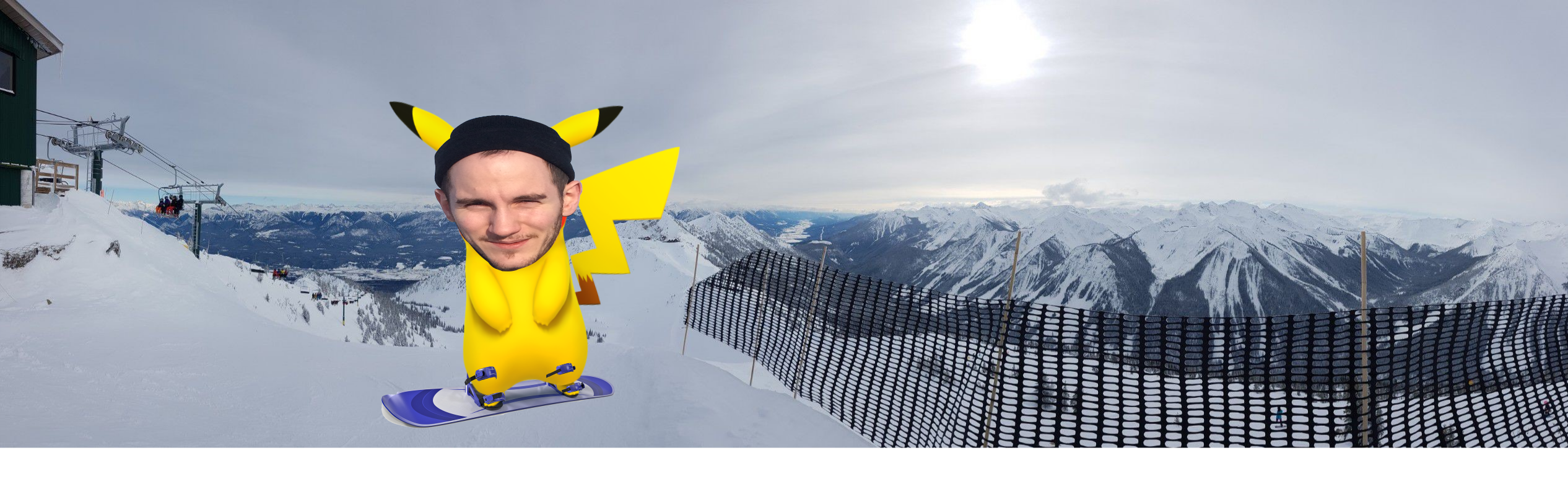 Ty Pika Boarding.png