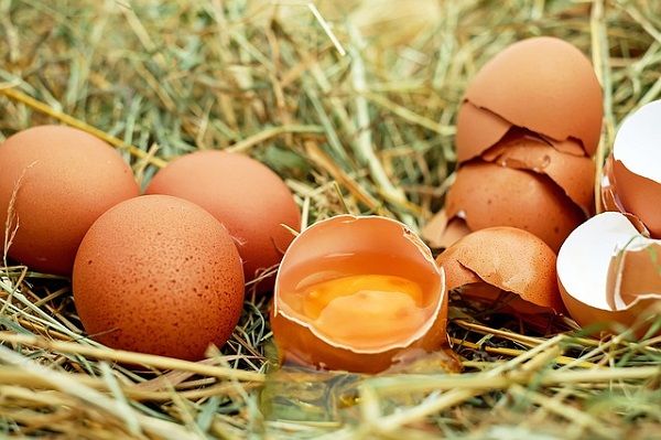 Raw-Eggs-Egg-Yolk-Bio-Egg-Eggshell-Chicken-Eggs-1510449.png