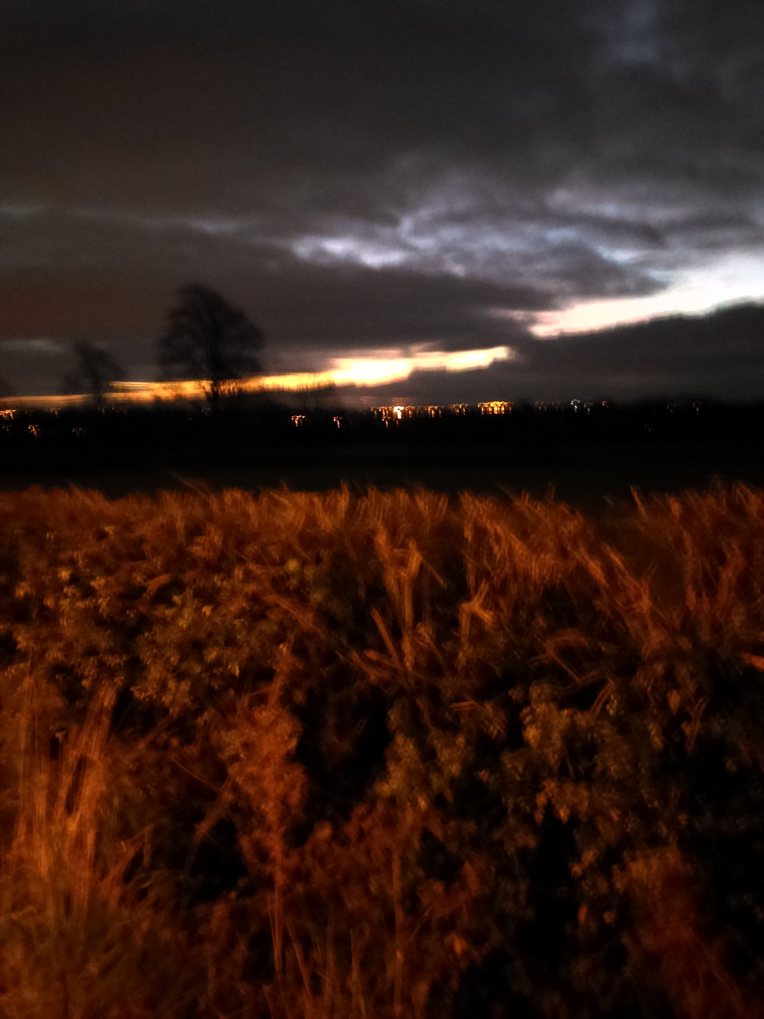IMAG0811.jpg