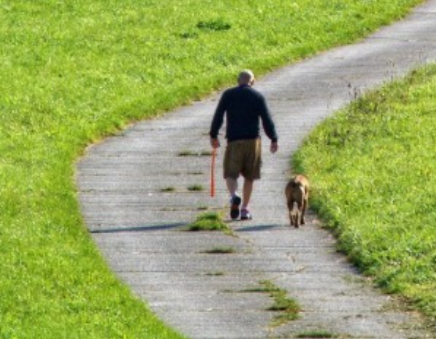 Bildschirmfoto 2017-07-25 um 21.55.43.png