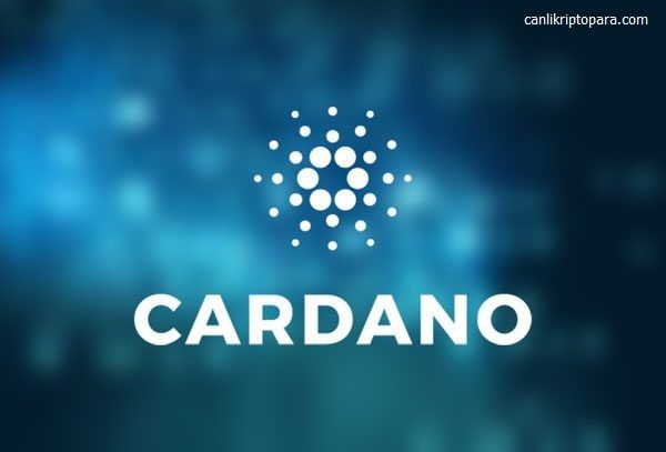 cardano-3.jpg