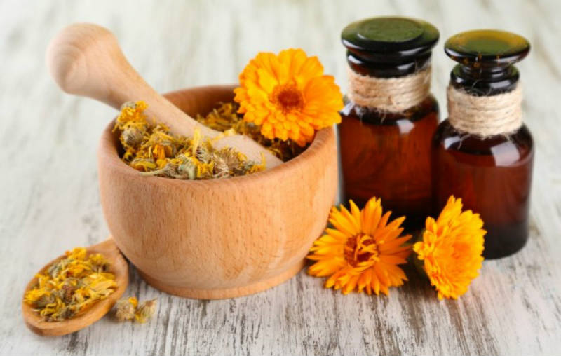 calendula-benefits-and-uses.jpg