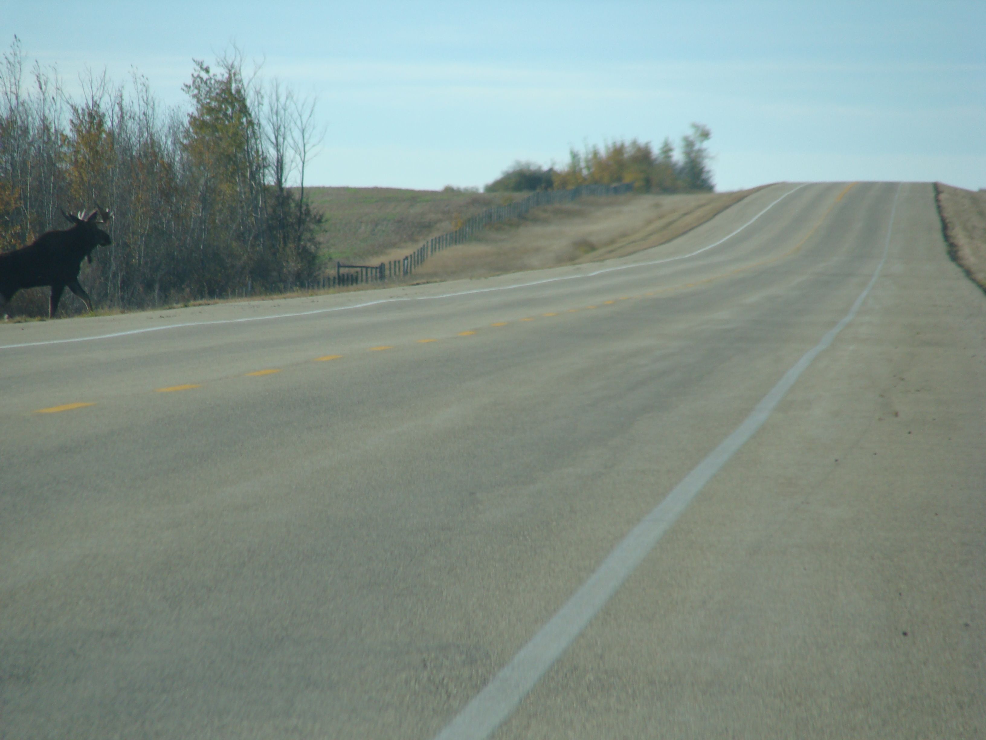 2012-10-07 17.22.30.jpg