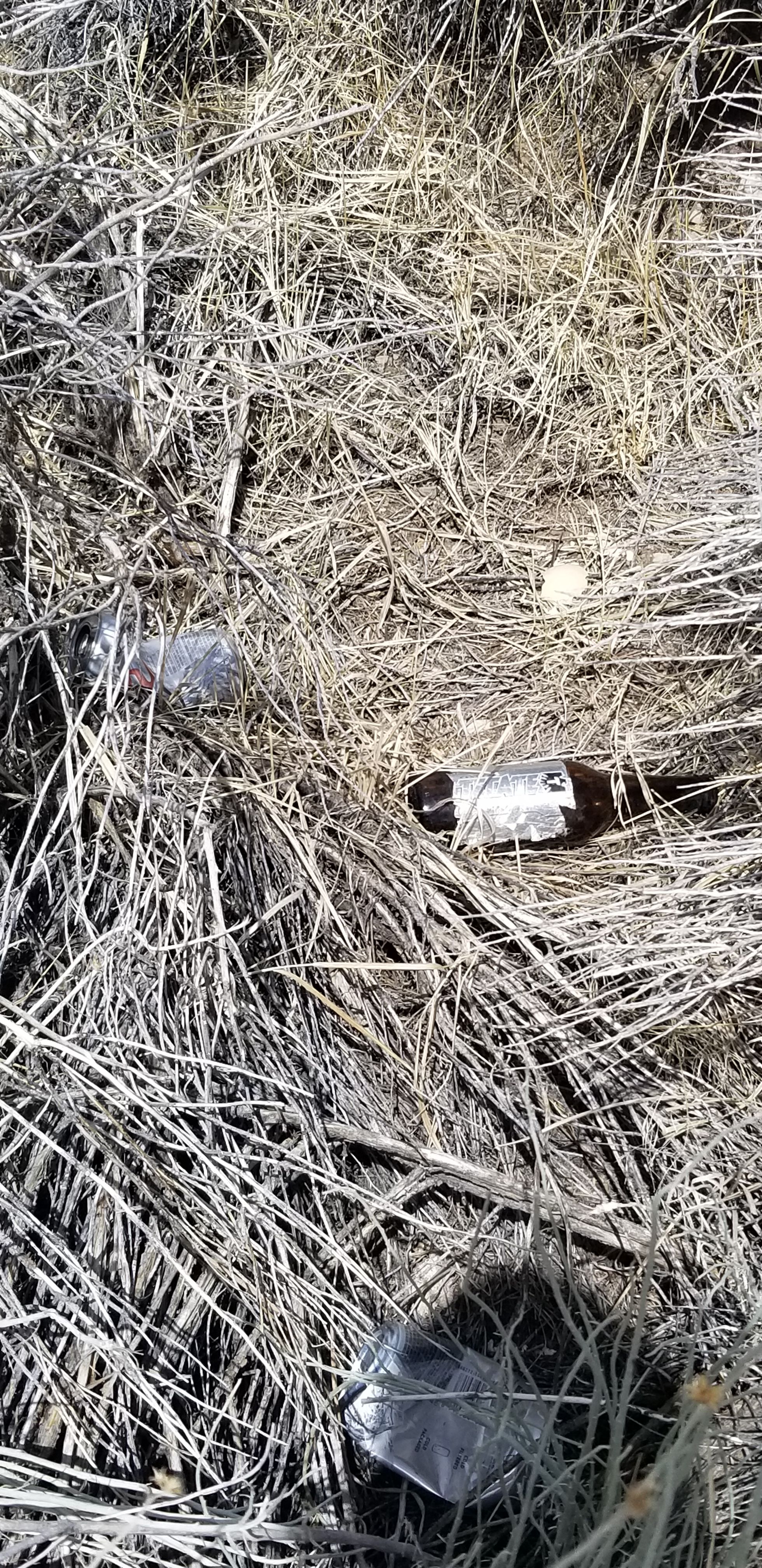 20180331_140042.jpg