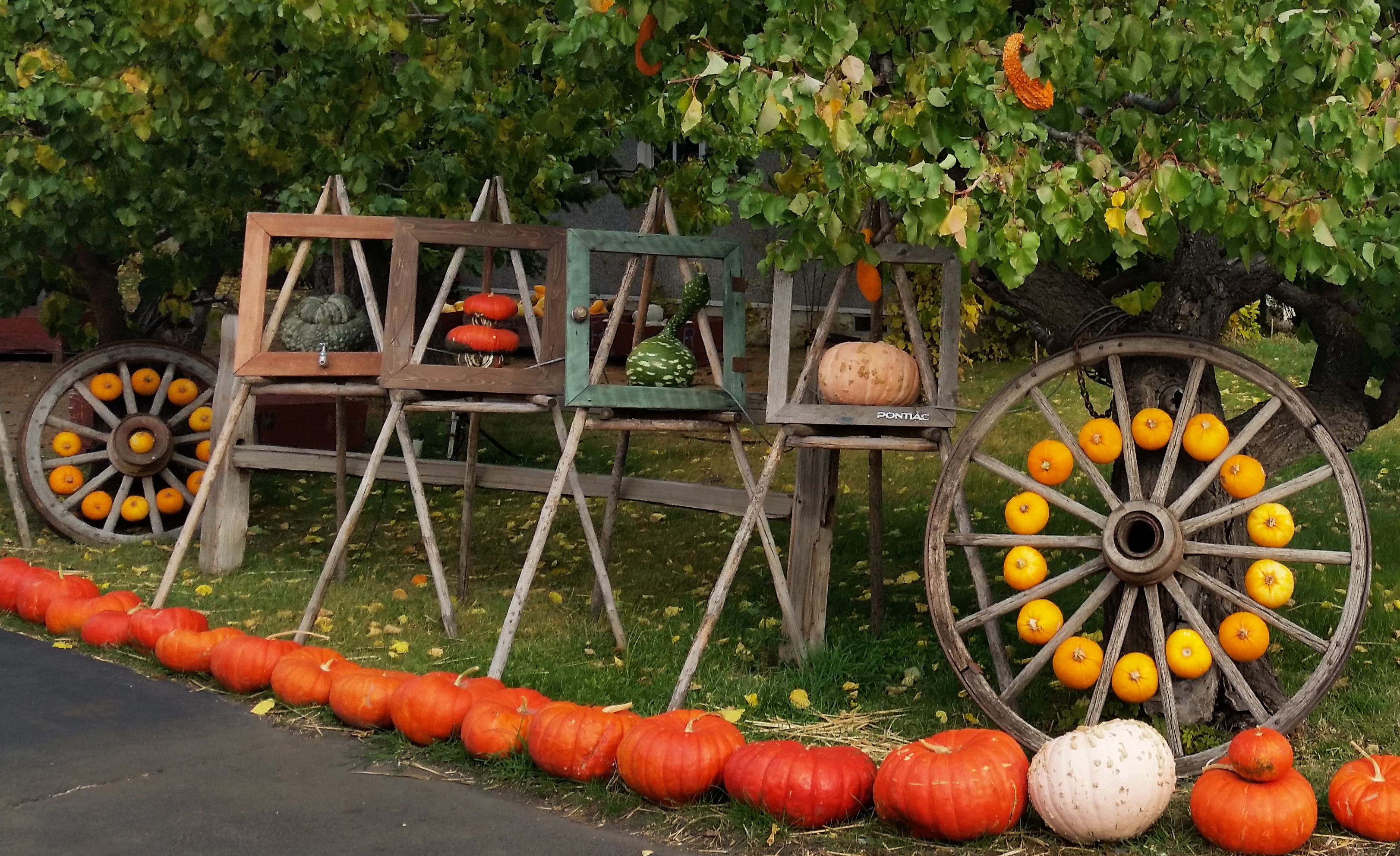 squash-display-close.jpg