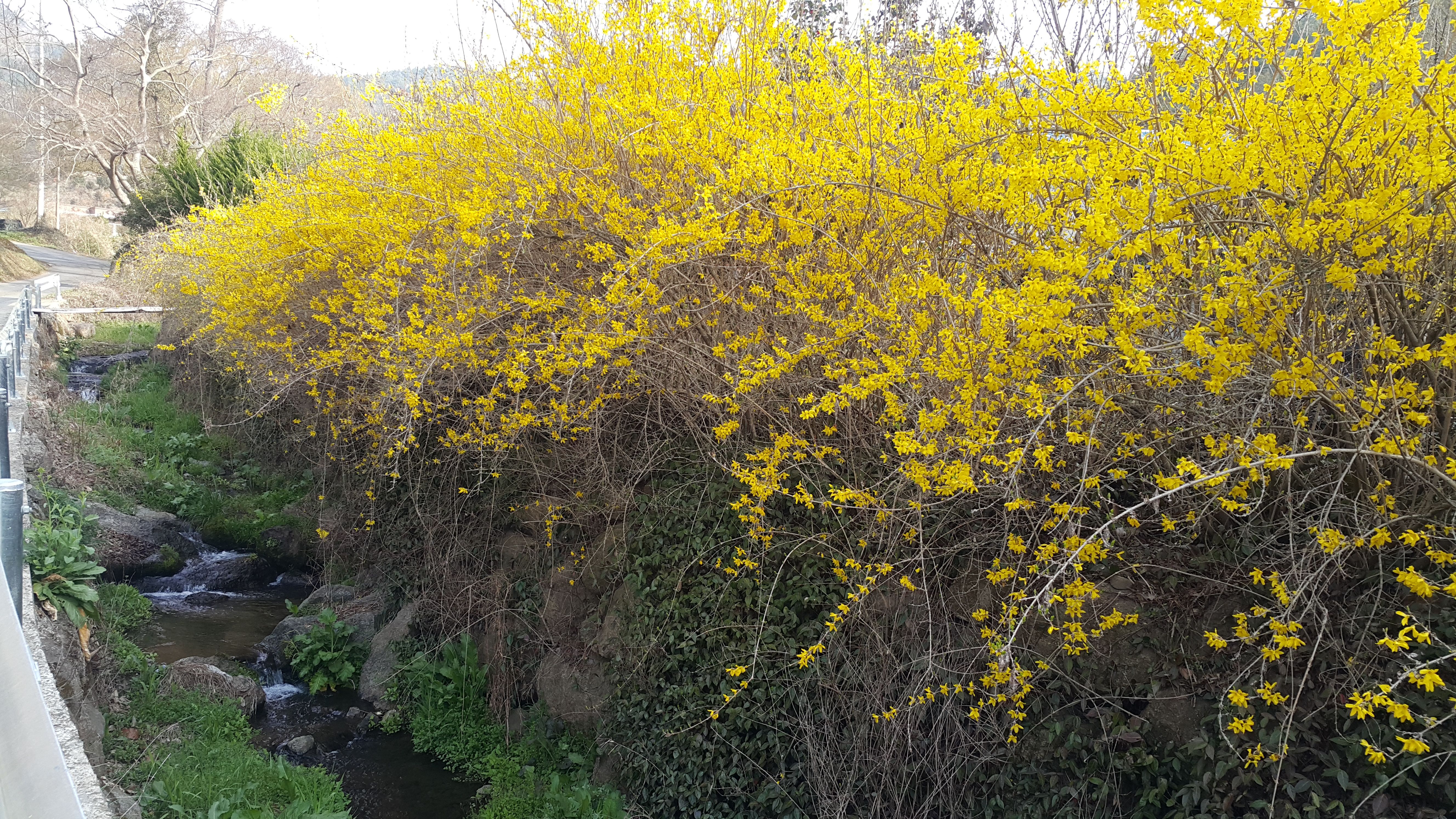 20180331_081753.jpg