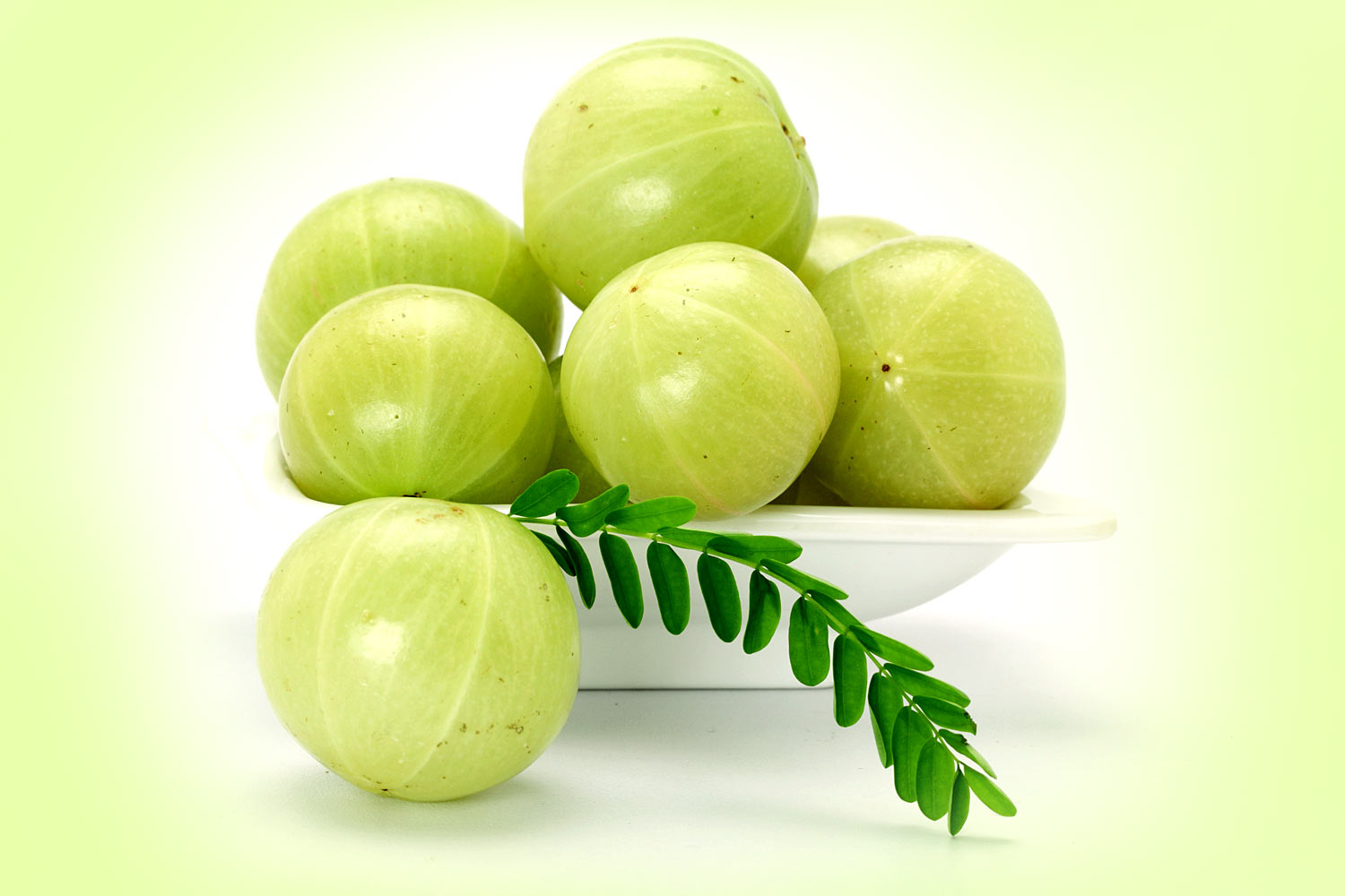 amazing-amla-indian-gooseberry.jpg