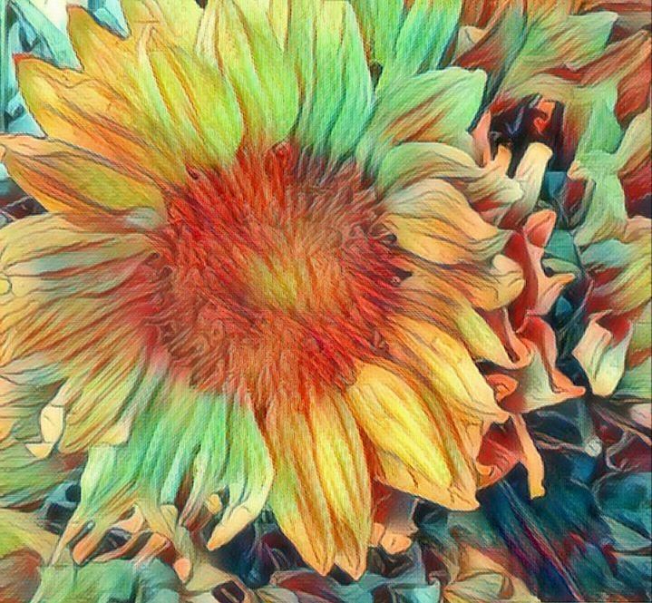 20171005_121936.jpg