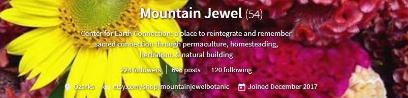 mountainjewel.jpg