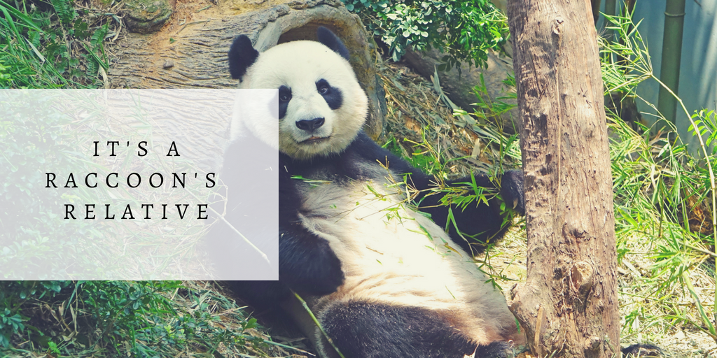 Green and Yellow Photo Quotes Fall Twitter Post (13).png