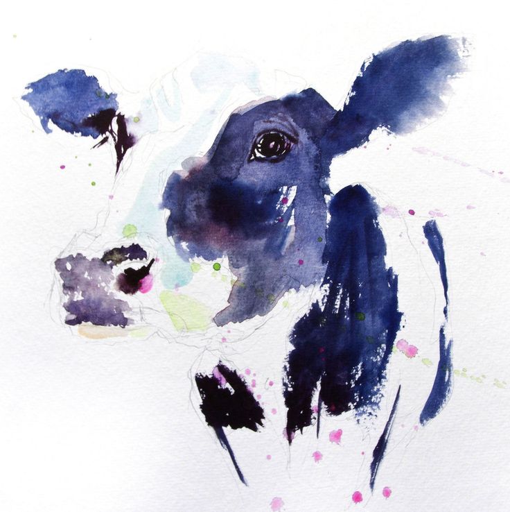 b9dd1eac628df01bd6fc60a9e802dbcf--cow-watercolor-painting-colorful-cow-painting.jpg