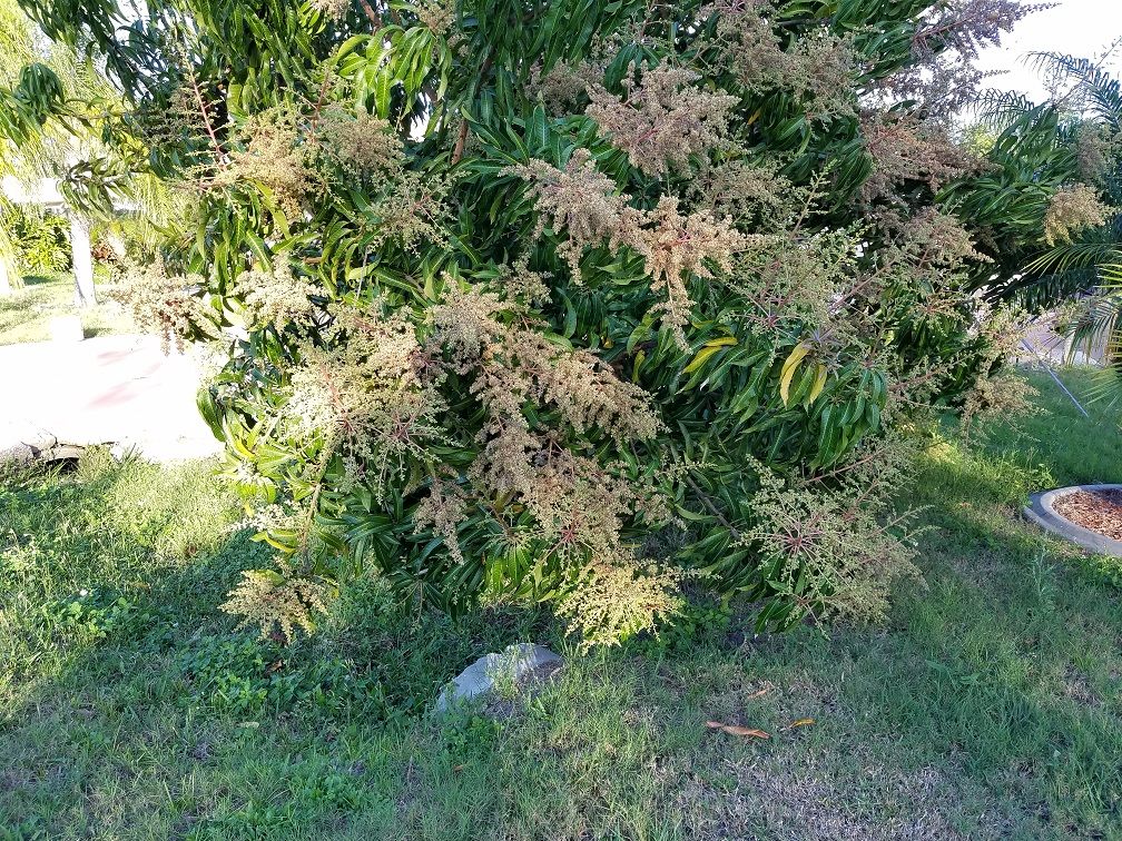 20180216_171900.jpg