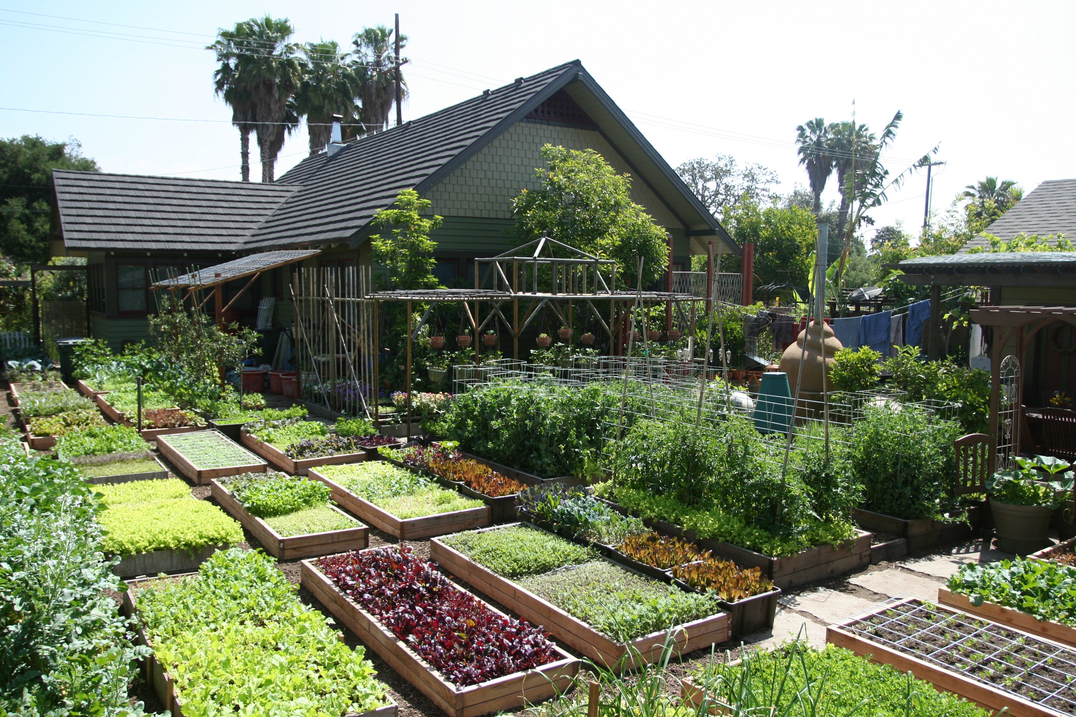 organic garden farm.jpg
