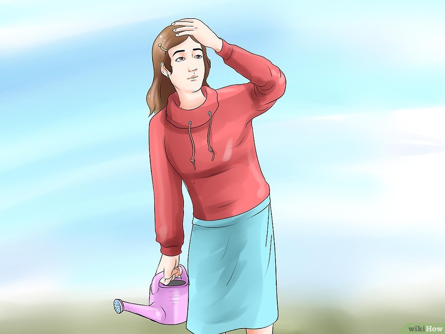 v4-900px-Choose-the-Best-Time-for-Watering-the-Garden-Step-2.jpg