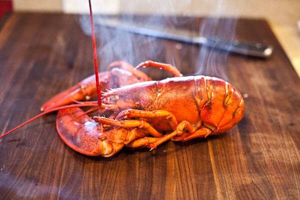 lobster24605.jpg