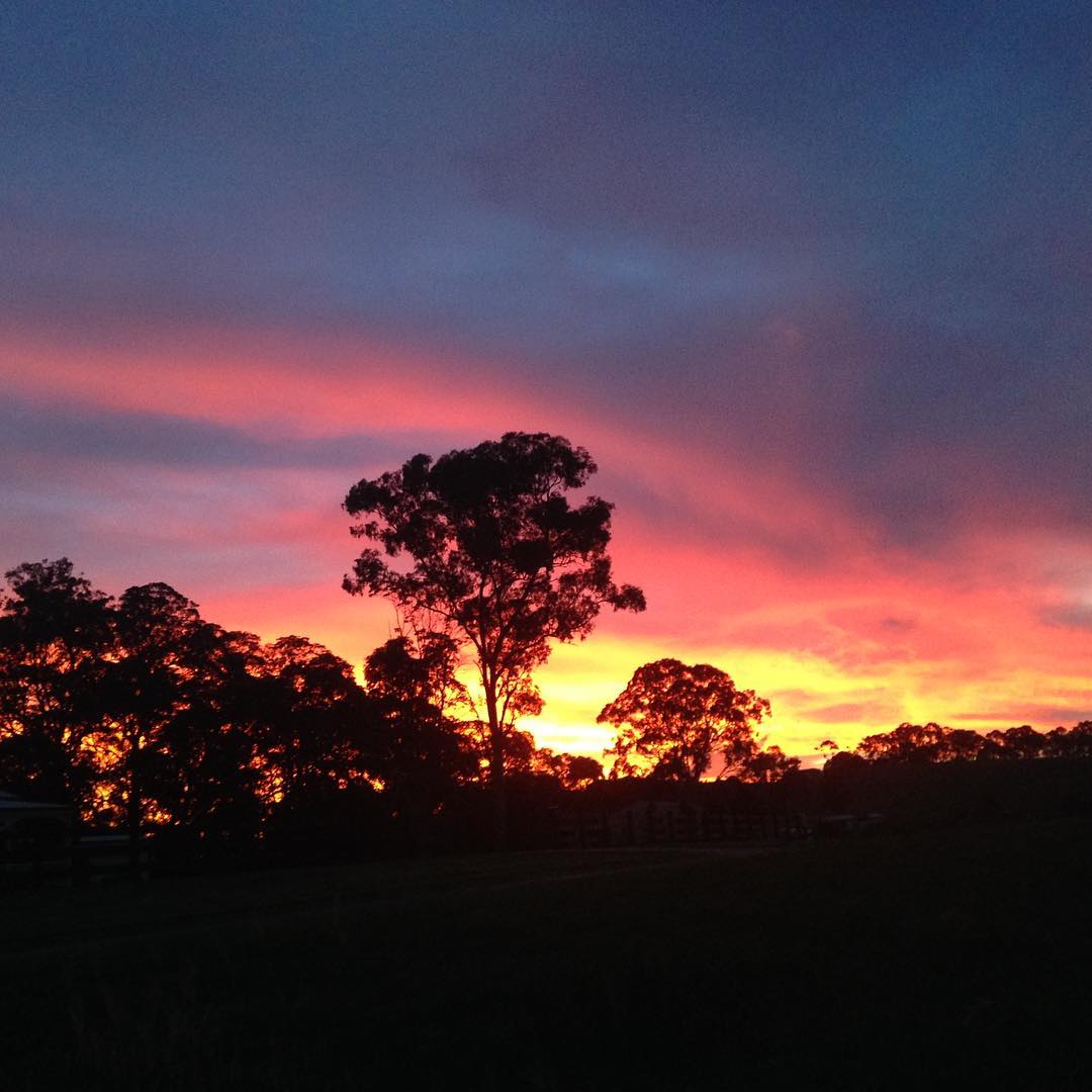 sun set.jpg