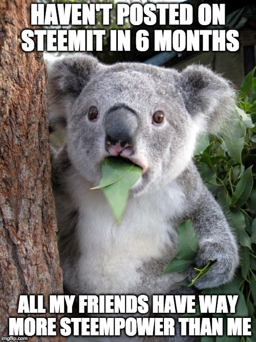 steemit-surprised-koala.jpg