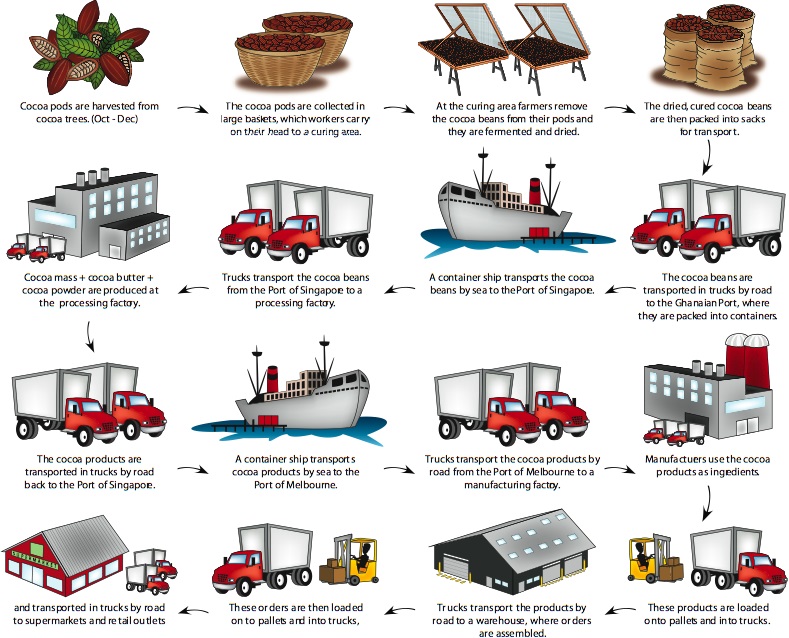 activity-05-cocoa-chain.jpg