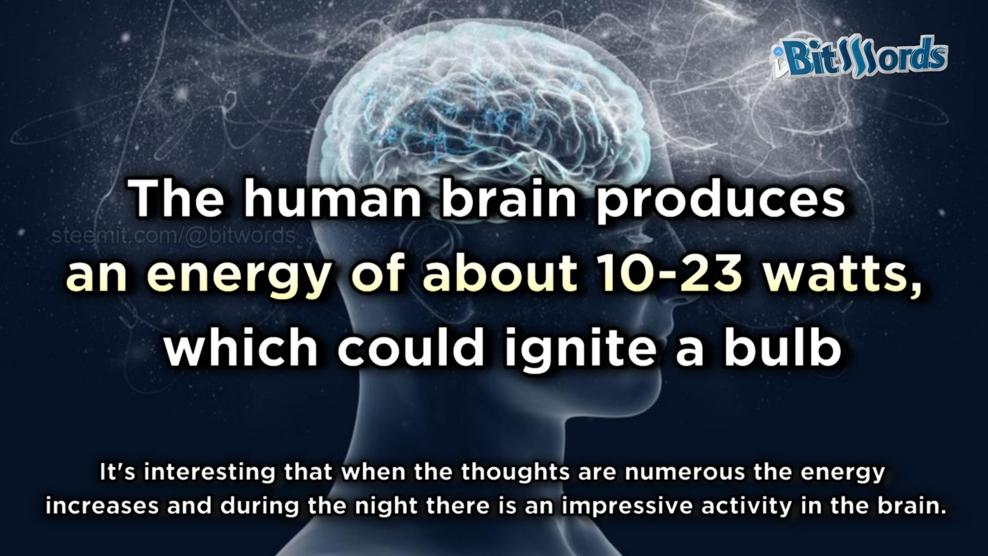 5 interesting things you didnt know about your brain (3).jpg