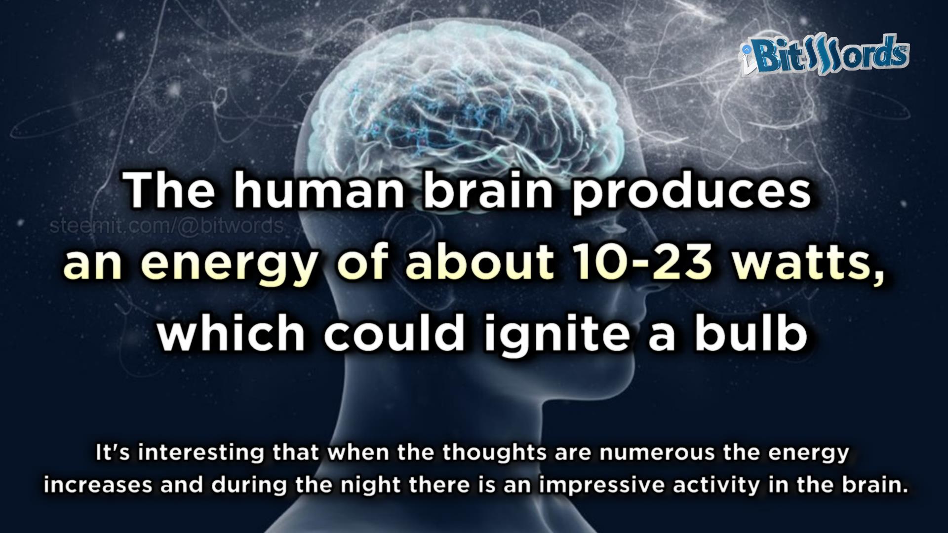 5 interesting things you didnt know about your brain (3).jpg