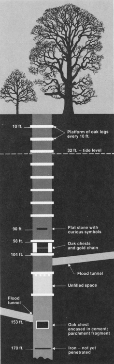 Oak Island Cutaway.jpg