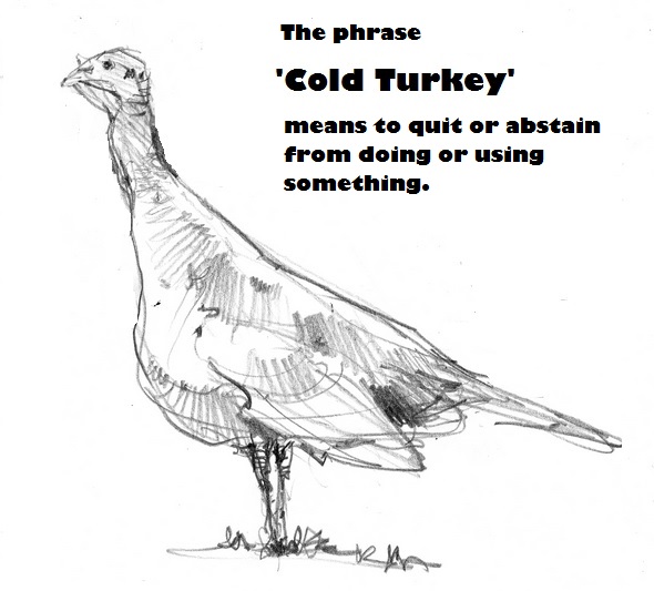 coldturkey.jpg