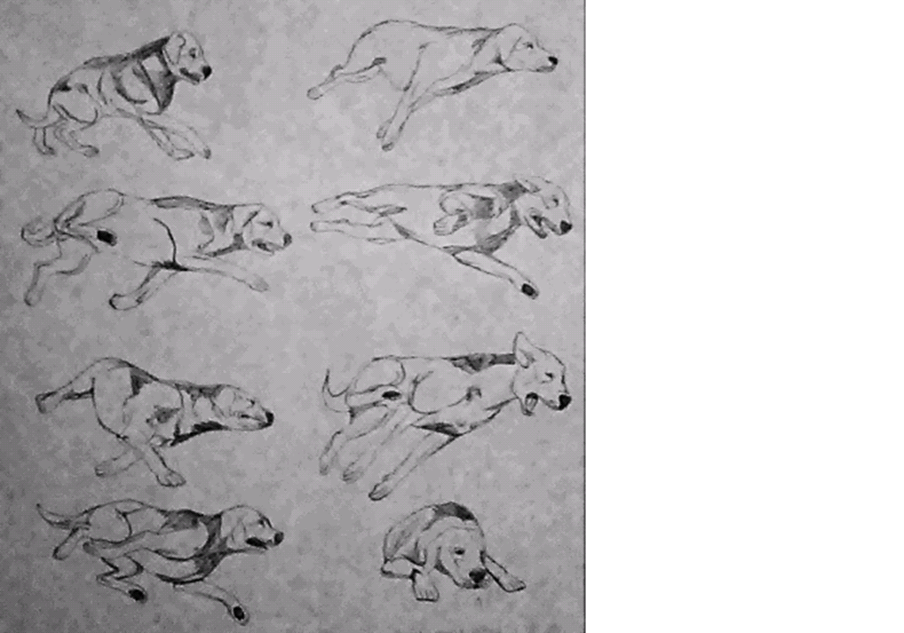 Dibujo de un perro con ataque epiléptico.png
