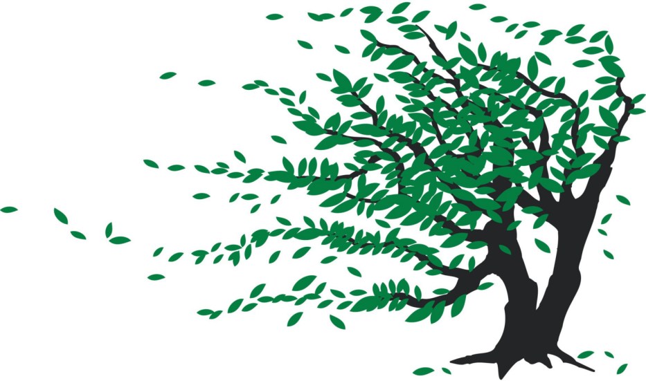 tree-blowing.jpg