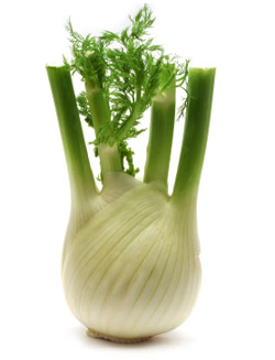 fennel.jpg