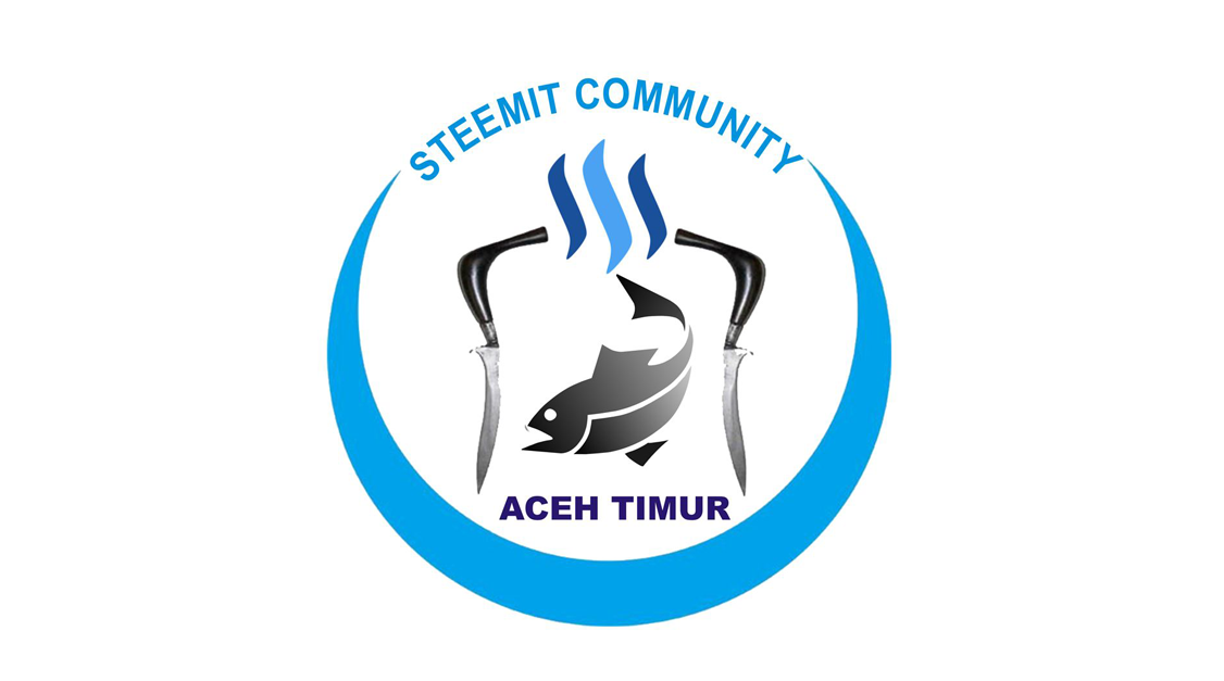 Aceh Timur Steemit.png