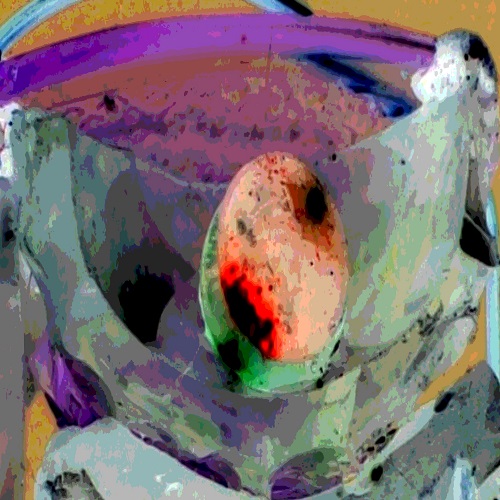 500x500icon.jpg