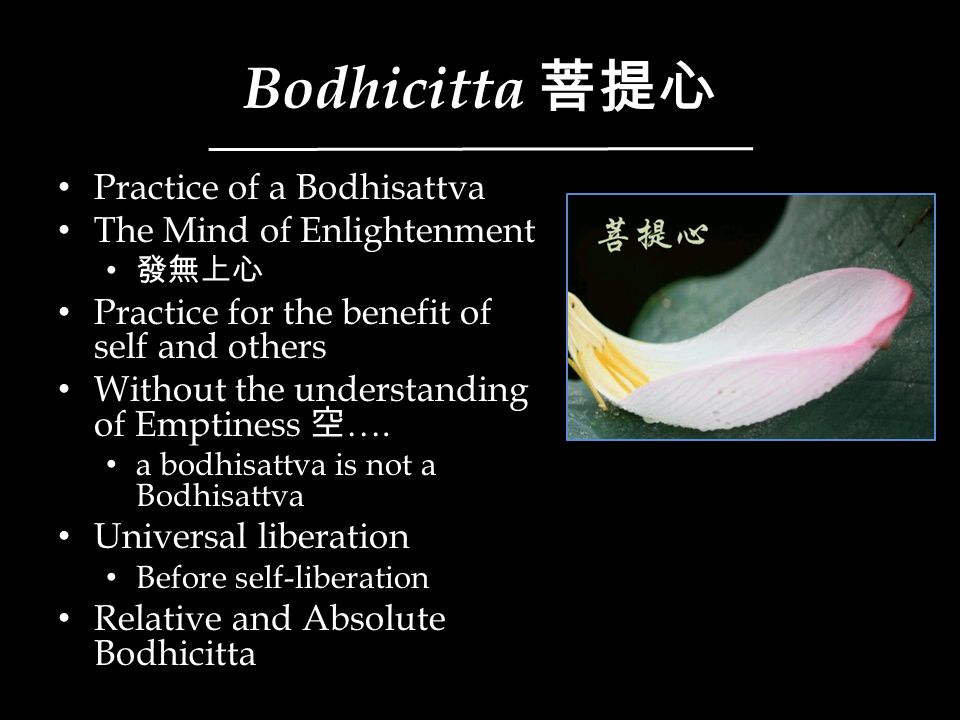 Bodhicitta+菩提心+Practice+of+a+Bodhisattva+The+Mind+of+Enlightenment.jpg