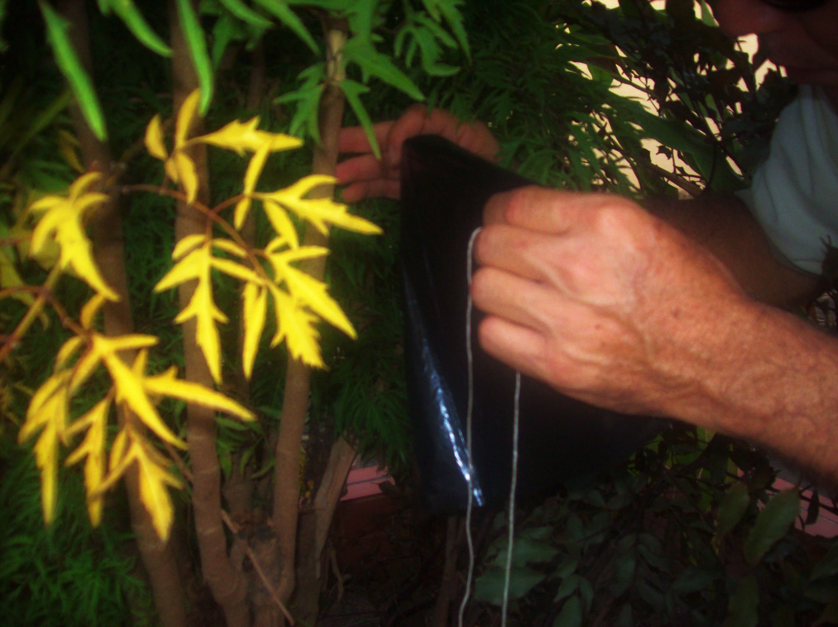 100_2060.JPG
