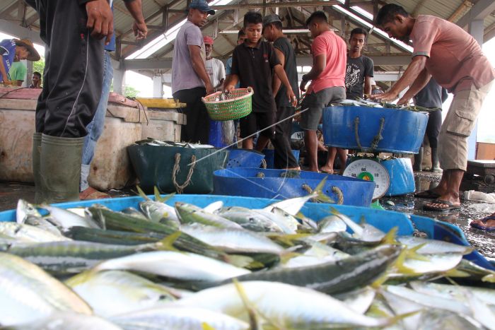 harga-ikan-naik-or4fdg-prv.jpg