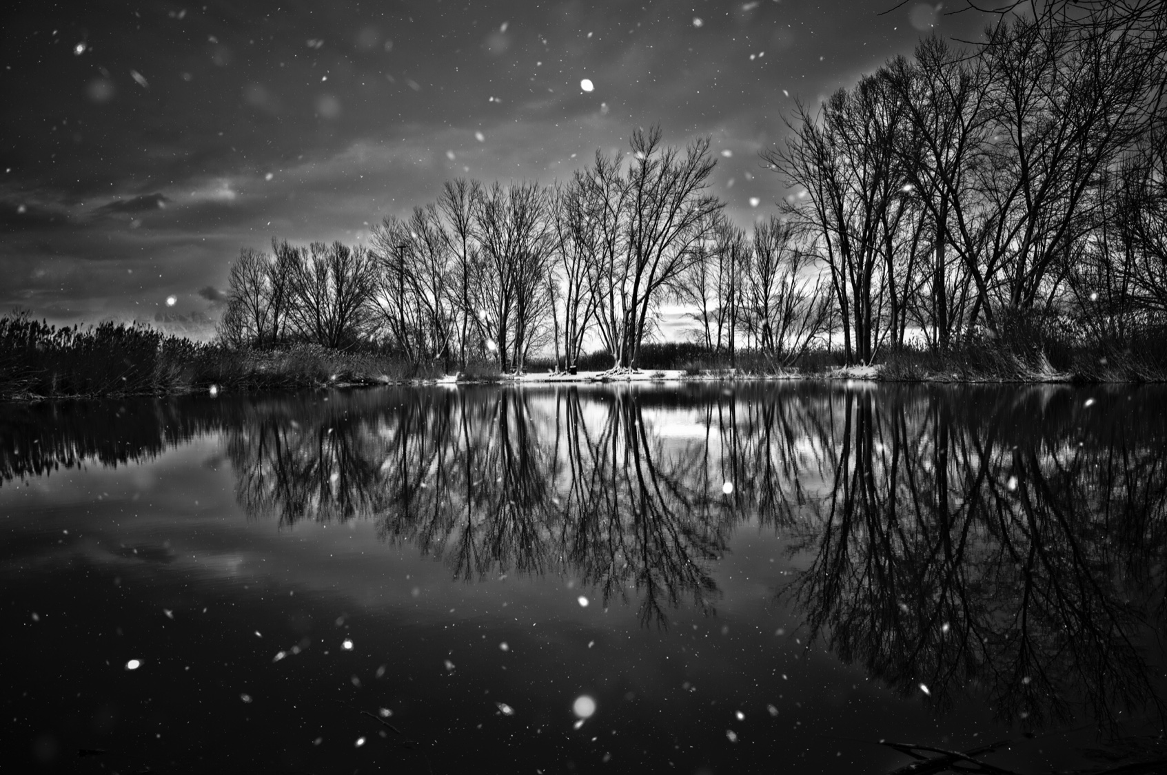 C5D716DF-DB64-412B-AD91-D376CA24C66D.jpeg