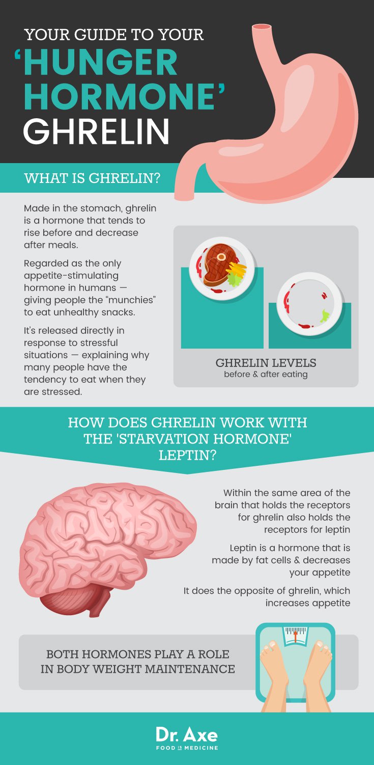 Ghrelin_Graphic.jpg