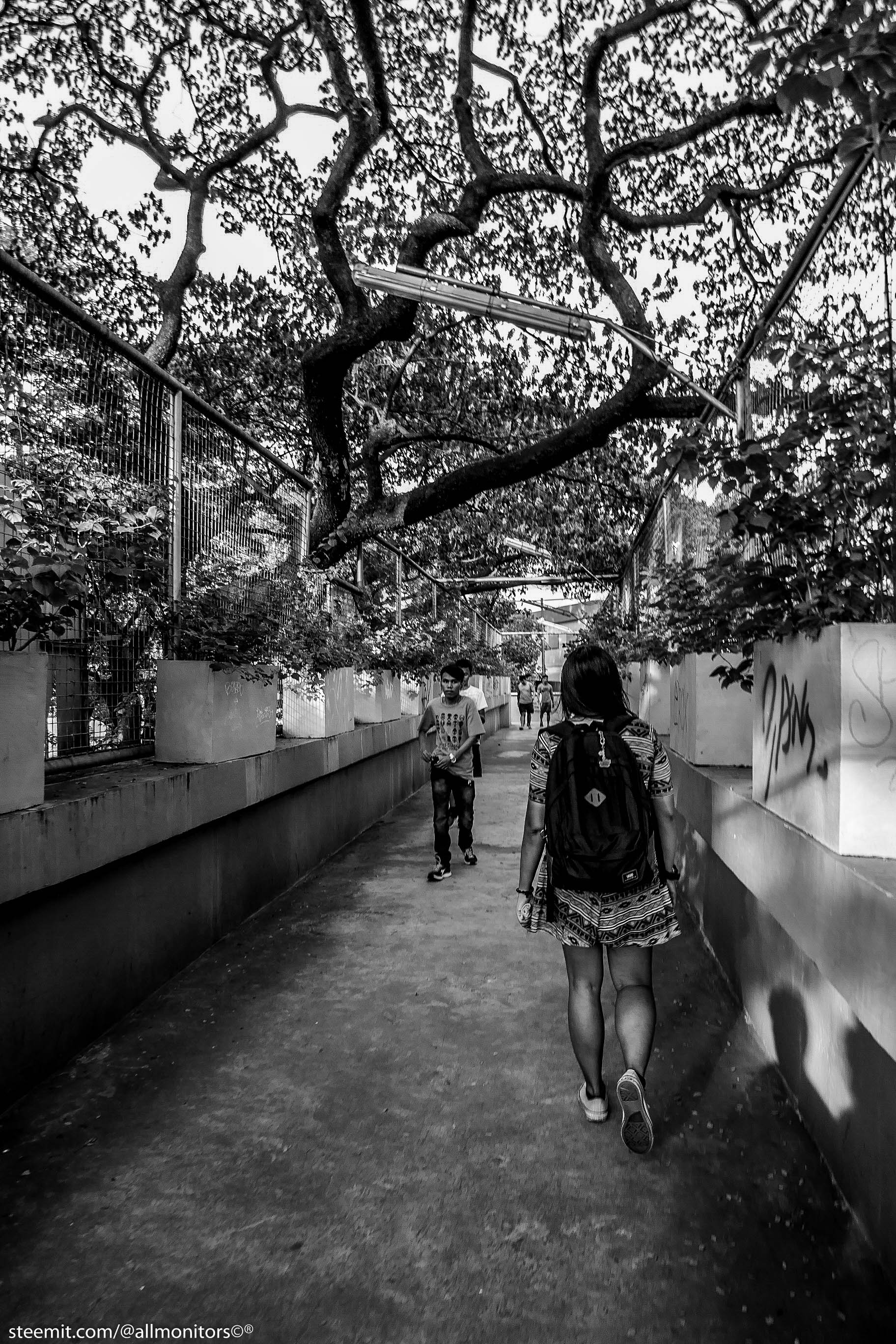 P1010181.JPG