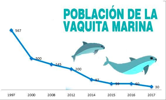 POBLACIÓN-VM-GRAFICO.jpg