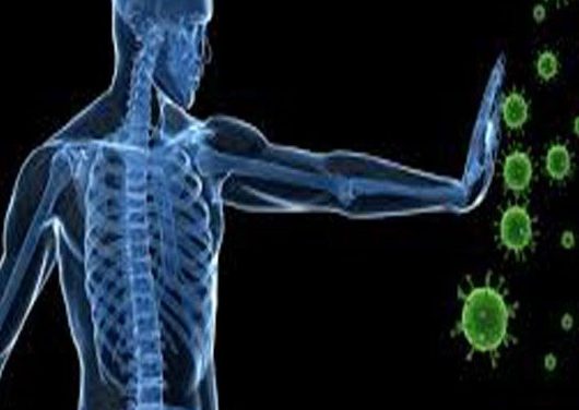 Autoimmune and Inflammatory Immunomodulators.jpg