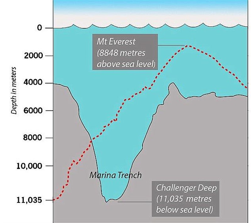 9-Mariana-Trench_800x712.jpg