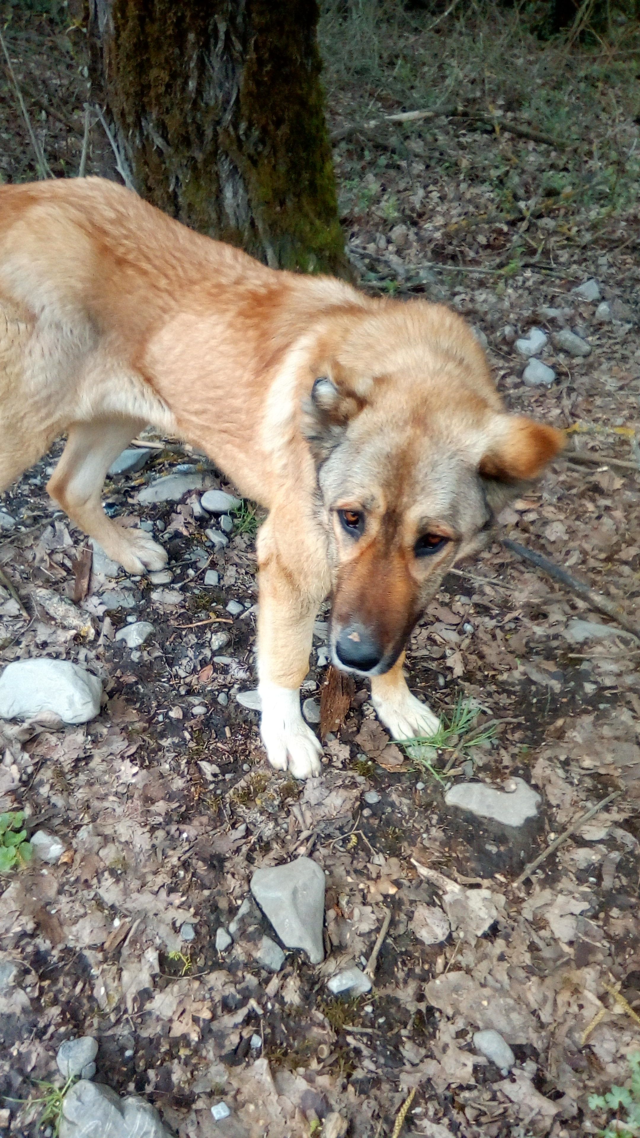 IMG-20180403-WA0003.jpeg