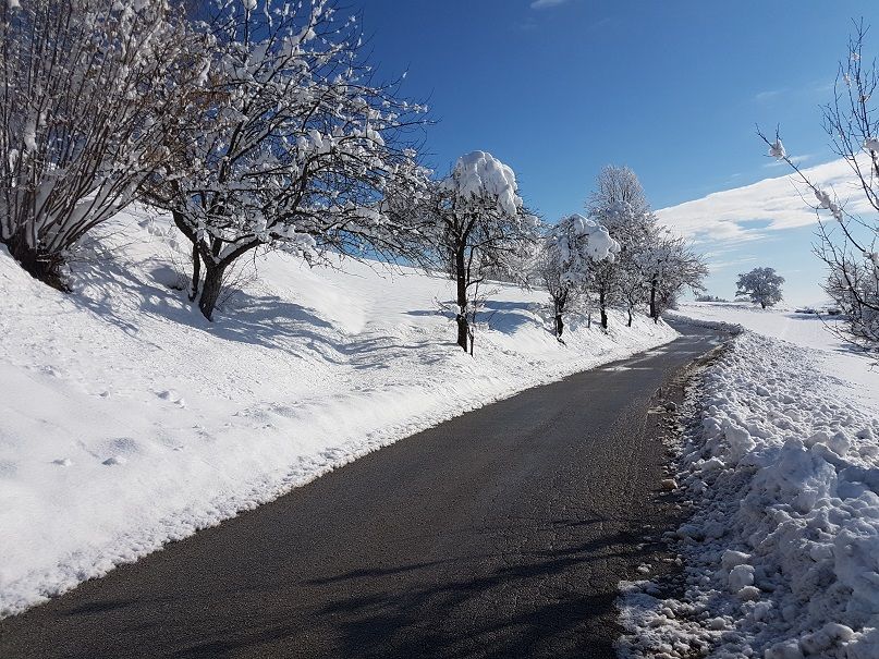 20180204_104925.jpg