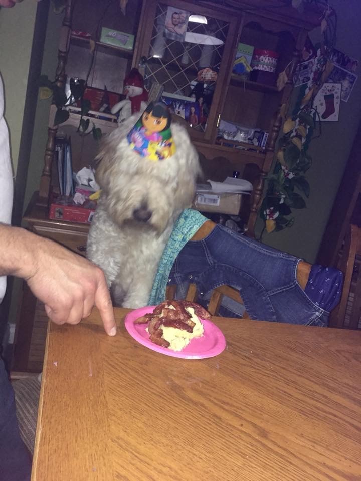 Dog2_IMG_1119.jpg