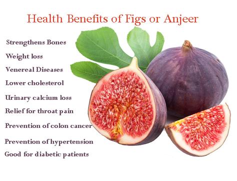 Fig1.jpg
