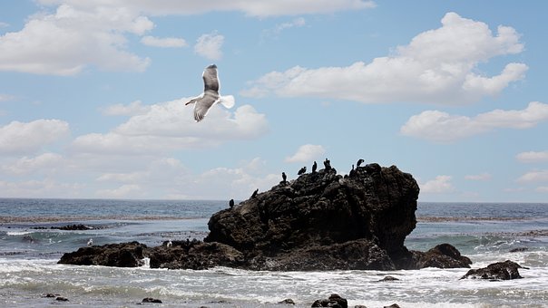 Leo Carillo beach-2522884__340.jpg