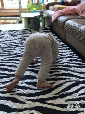 D7785D83-1A6E-433B-88FA-C0C52DF5D306.gif