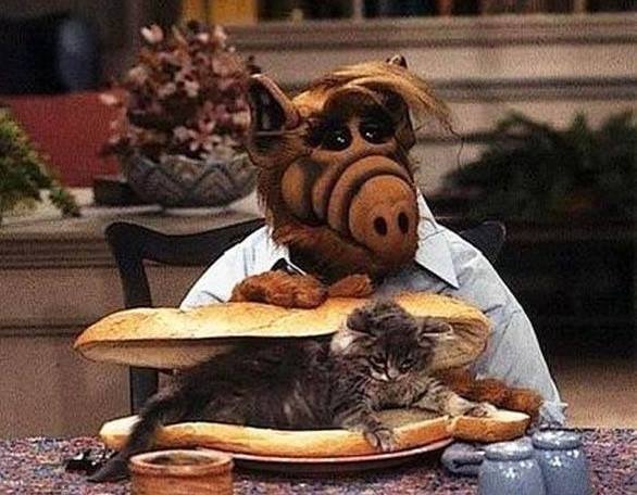 alf.jpg